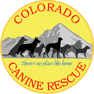 ColoradoCanine's profile picture. Finding homes for dogs and puppies. There's no place like home!