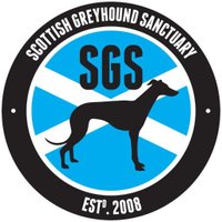 Scottish Greyhound Sanctuary(@Scotgreyhound) 's Twitter Profile Photo