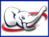 SaukGOP's profile picture. A grass-roots organization dedicated to conservative principles of government.We educate and promote conservative candidates who believe in the same principles.
