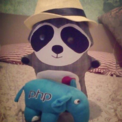 dev_elabor_tv's profile picture. PHP developer and streamer.