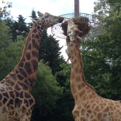 glitterella_x's profile picture. [PB] ~ [JM] ~ [SB] ~ [CB] ~ Dance Moms ~ Youtuber ~ Vlogger ~ Emily Canham ~ Jake Boys ~ Saffron Barker ~ Jake Mitchell ~ Zoe Sugg ~ Alfie Deyes ~ Casey Barker