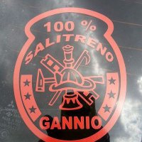 gannio(@1970_gannio) 's Twitter Profile Photo