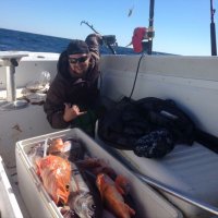 Jesse Wimett (@deepdrop4life) 's Twitter Profile