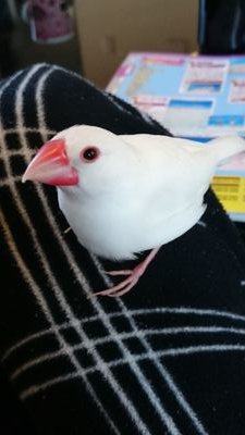 hiroko ゆさんのプロフィール画像