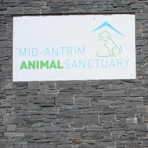 Mid-Antrim Animals Profile