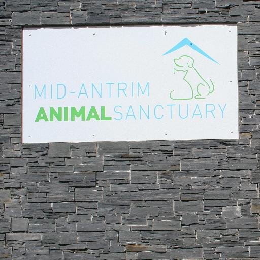 Mid-Antrim Animal Sanctuary is a non-profit independent registered charity, which relies upon the kindness of the people of Northern Ireland.