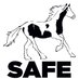SAFE (@SAFE_Horses) Twitter profile photo