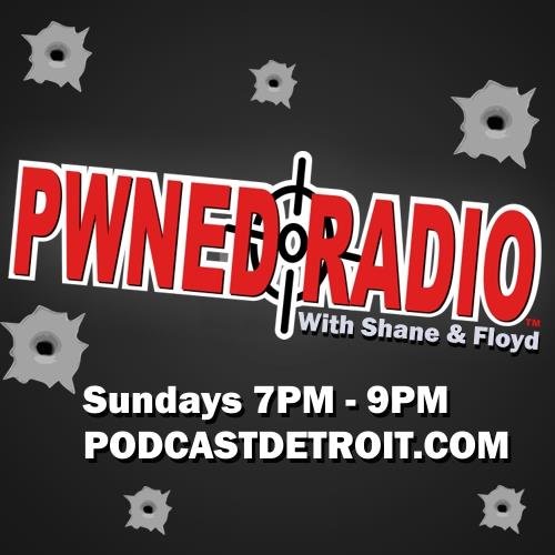 A Video Game Show - For Gamers, By Gamers Its metro Detroit’s premier radio show for video game enthusiasts! Sundays 7pm-9pm EST LIVE On https://t.co/m01sDVY1tM