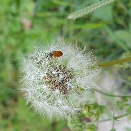 6FGwwQabZ5BJYfJ's profile picture. 