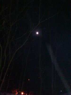 gia_hensley's profile picture. Adventurous Loveable Amazing Unforgettable Me