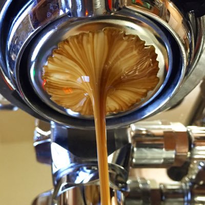 meticulist's profile picture. Meticulously researched information to help you make the best decisions. From the best possible coffee in your home to watches and other major purchases.