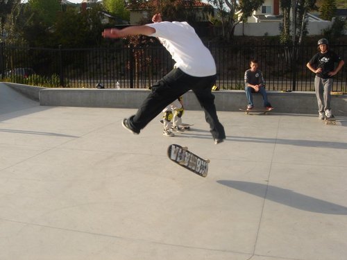 ShadowRevolutio's profile picture. 