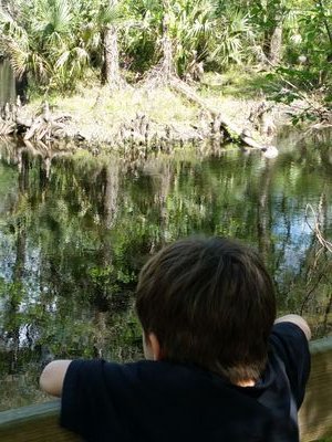 fillro's profile picture. After years of running feeling the foot steps of age