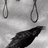 Raven_E013's profile image