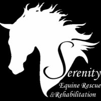Serenity Equine(@serenityequine) 's Twitter Profile Photo