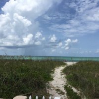 Annette Straw (@strawntexas) 's Twitter Profile