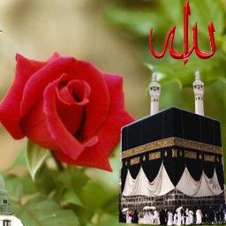 MahmoudSaadEL5's profile picture. 