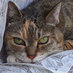 mi o (@miotsuka) Twitter profile photo mi o (@miotsuka) Twitter profile photo
