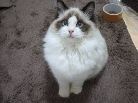 narayosi's profile picture. 趣味は水彩画、散歩、電子工作、早く隠居し趣味に没頭したいのです。
debian emacs24 　raspi　などでも遊んでいます。
common Lisp とは長い付き合いです。
Slime,smartparens,auto-complete等
便利に使わせて頂いています。