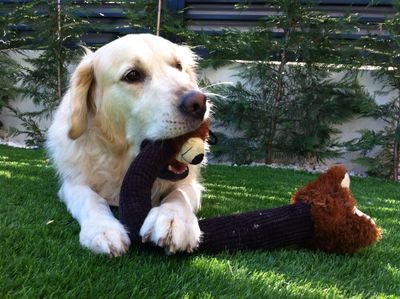 david_dg11's profile picture. 