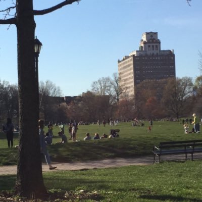 Capturing the conversations of parents in Park Slope, Brooklyn