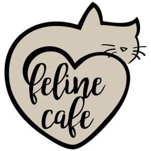 Drink coffee. Save cats. Ottawa's first cat café! Note: must be 12yrs and up to visit cat lounge.