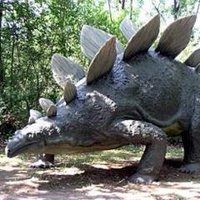 Stegosauro 🌍(@Stegosauro) 's Twitter Profile Photo