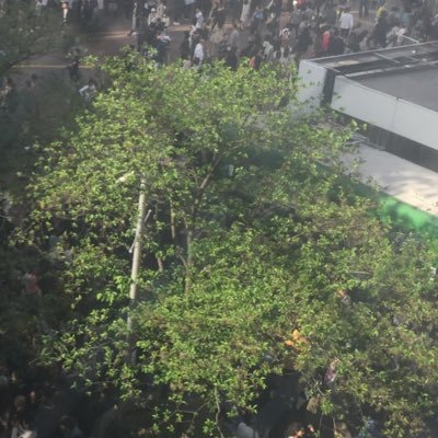 Ux0P2FPQdztkRko's profile picture. 、スタディー（≧∇≦）