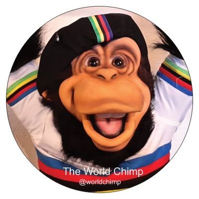 WorldChimp Profile Picture