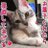 きなこ＆こまち@ねこにゃまる