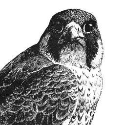 The_Acct_Dept's profile picture. 