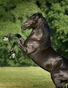 JuliD7's profile picture. Yo soy responsable de lo que escribo, no de lo que usted entienda.