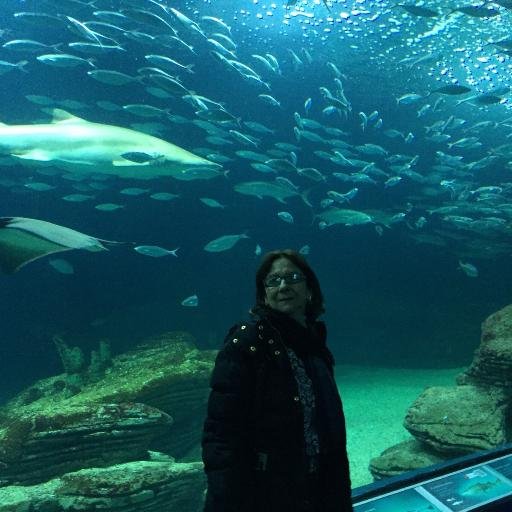 camejavi's profile picture. 