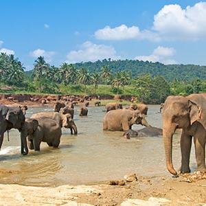 AnthyBruhem's profile picture. 