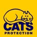 Edinburgh Cats (@cp_edinburgh) Twitter profile photo Edinburgh Cats (@cp_edinburgh) Twitter profile photo