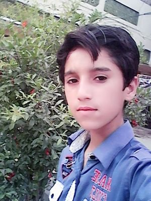 GulShar00177971's profile picture. 