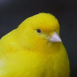 un_parajo's profile picture. 