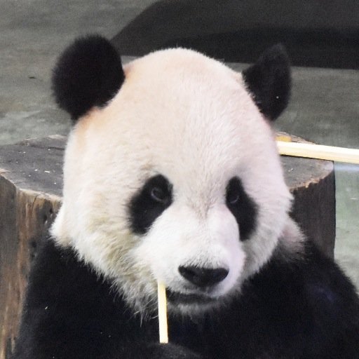 TripSpiceTaiwan's profile picture. 台北在住＆旅行会社勤めのアラフォー。夫は台湾人。台湾旅行＆台湾生活ネタ多め。近くてもやっぱりここは外国、台湾だもの。面白いこと笑えないことなどを徒然と。