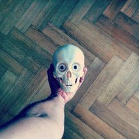 flinz (@flinz) 's Twitter Profile