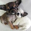 Jean Matthews - @Jeanne253 - Twitter