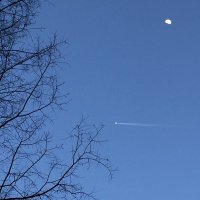 空 (@sora4u) 's Twitter Profile