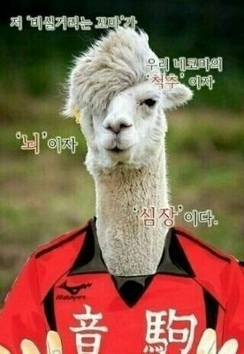 DFhgHsWpWniWqW9's profile picture. 오맞상,언텔,은혼,하이큐,블서,우쉽 등등..
잡덕데수☆