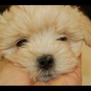 Jade Albrecht - @Jade61 - Twitter