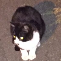 香川竜也 (@hk1eqigyuafwocn) Twitter profile photo