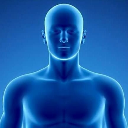 rodolfocurie's profile picture. 