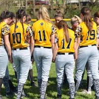 Lady Lions Softball (@salemsoftball) 's Twitter Profile