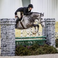 Deloise in America (@noblestables) 's Twitter Profile
