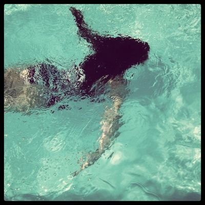 aless_gnct's profile picture. 