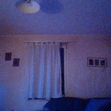 MimoXwitter's profile picture. 