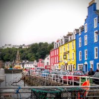 #Mull (@myl_it_over) 's Twitter Profile